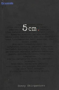 5 cm